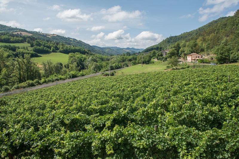 Agriturismo Pedrosola بريزيغيلا المظهر الخارجي الصورة
