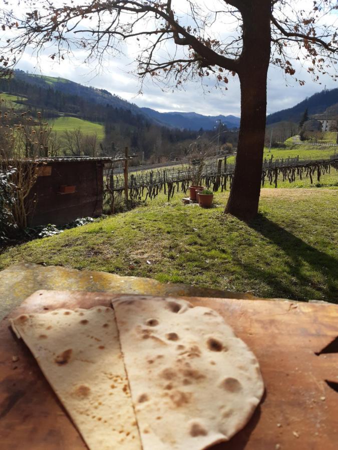 Agriturismo Pedrosola بريزيغيلا المظهر الخارجي الصورة