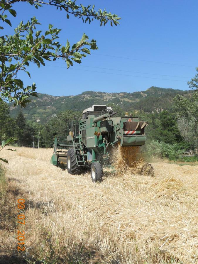 Agriturismo Pedrosola بريزيغيلا المظهر الخارجي الصورة